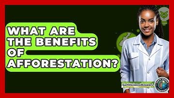 What Are The Benefits Of Afforestation? - Earth Science Answers