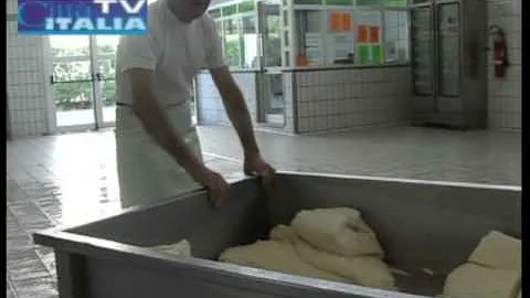 Dove si produce la mozzarella di bufala campana?