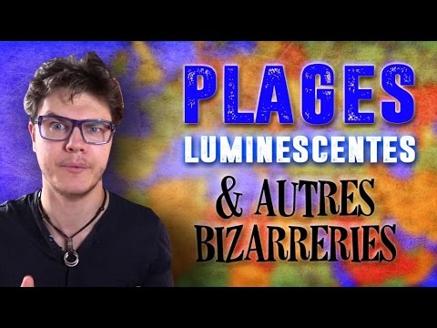 BIZARRERIE : D'Etranges Plages Luminescentes