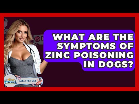 Is Zinc Gluconate Toxic To Dogs