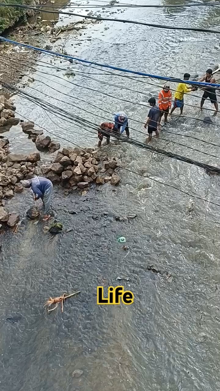 #nature #swimming #construction #life