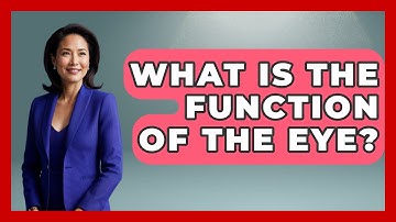 What Is the Function of the Eye? - Optometry Knowledge Base