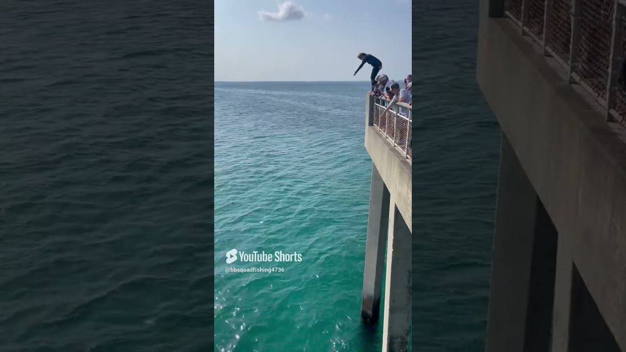 Lady Jumps Off Pier In Fort Walton Beach Florida Face First Into Sharks Fishing