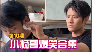 😂小杨哥爆笑合集——第10期 | Crazy Yang Hilarious Collection - Episode 8 #疯狂小杨哥