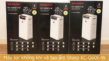 Review máy lọc không khí và tạo ẩm Sharp KC-G60EV-W (50m²)