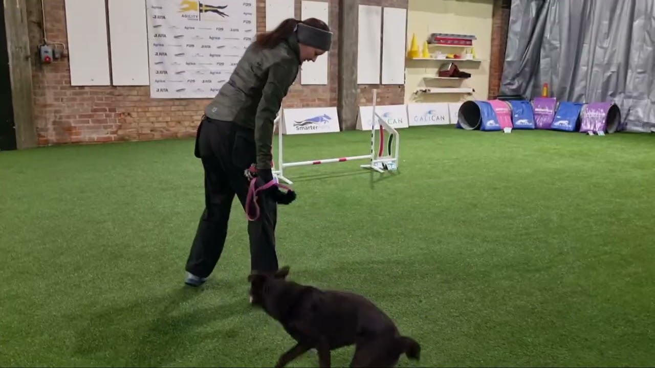 Capy agilityträning 17 februari 2026