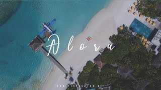🌴 Wizkid x Maleek Berry x Ycee Type Beat "Alora" | Afrobeat Instrumental (Prod.Ramoon) ☄️🌴