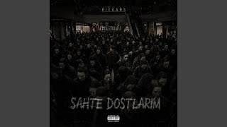 sahte dostlarım - riegans