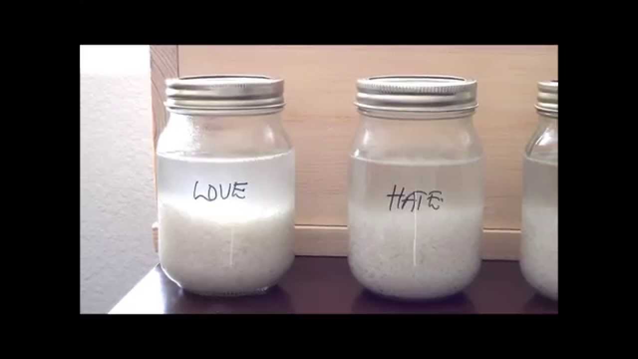 Word Power Day 2 Rice & Water Experiment YouTube