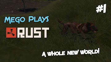 [Rust] Let