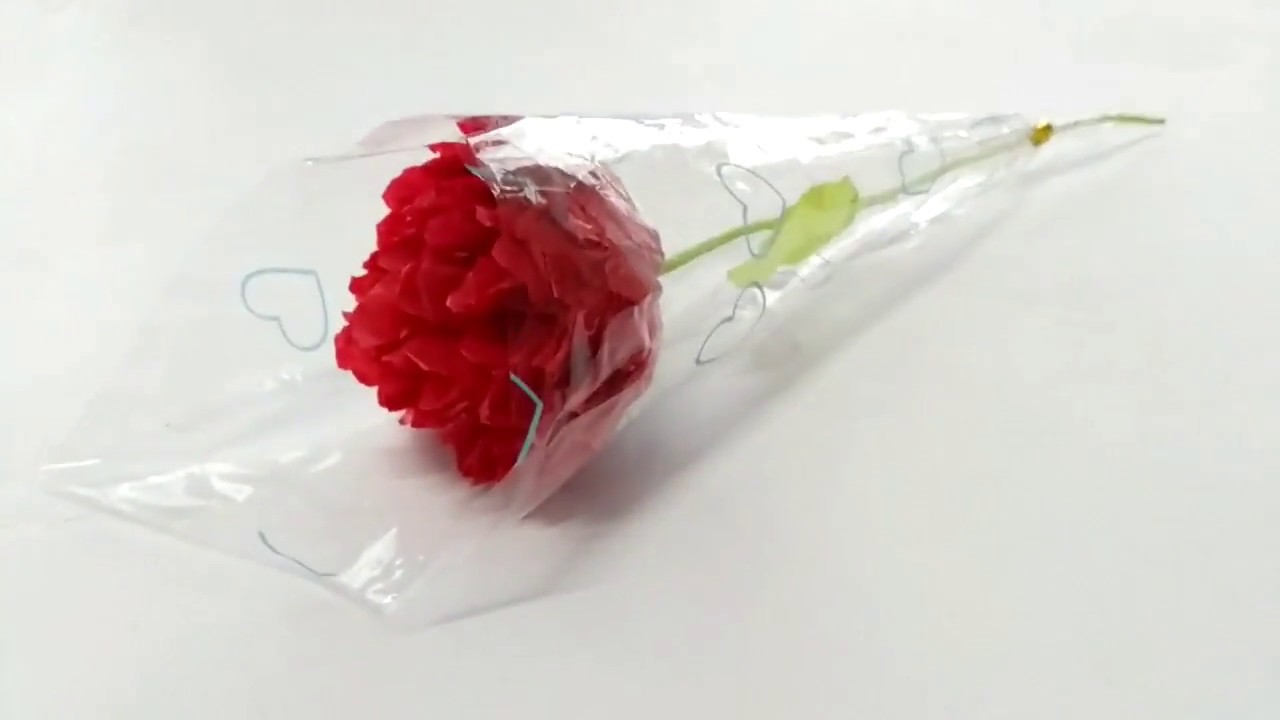 Tutorial Cara Mudah Membuat Bunga Tangkai Dari Kertas Minyak Youtube