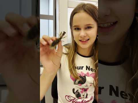 поборола свой страх // Eva mash
