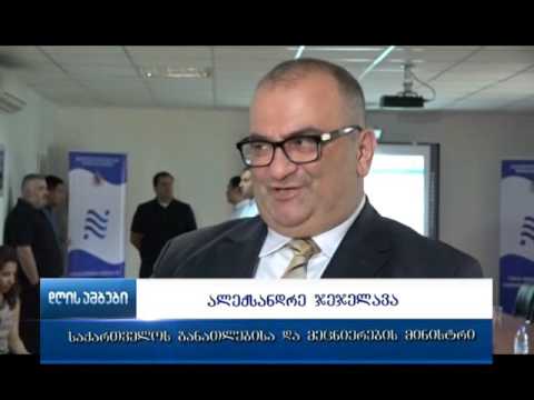 განათლებისა და მეცნიერების მინისტრის ინიცირებით ვეფხისტყაოსნის ინტერნეტ თამაში შეიქმნება