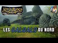 Le seigneur des anneaux online  les galgals du nord  lotro fr 11