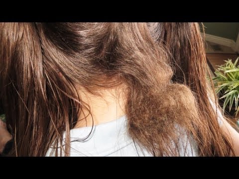 बालों की गांठ कैसे निकालें - एक विशाल गाँठ!