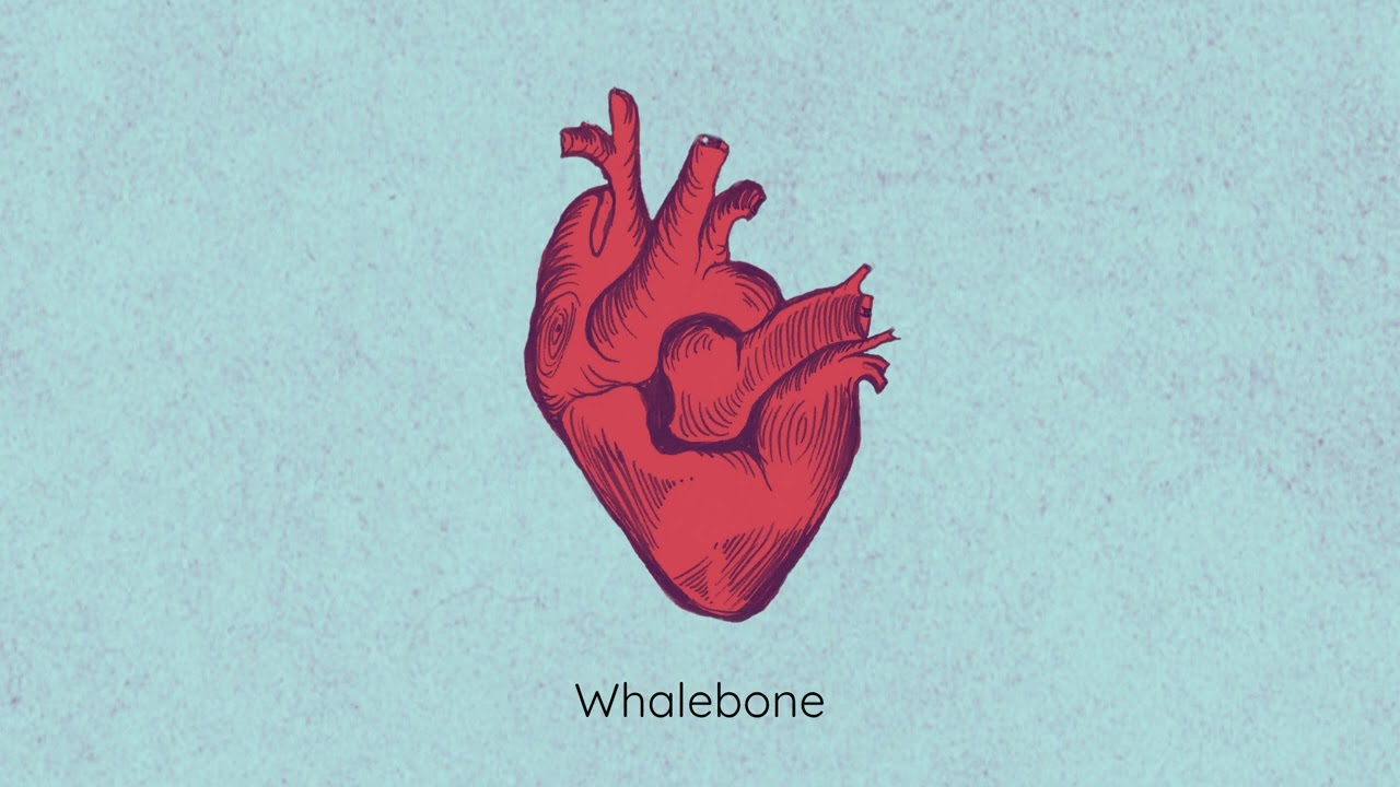Whalebone