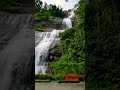 Cheeyappara waterfall l adimaly l munnar l haameem creations