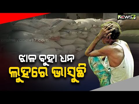 Farmers In Distress Over Irregularities In Paddy Procurement System In Bolangir
