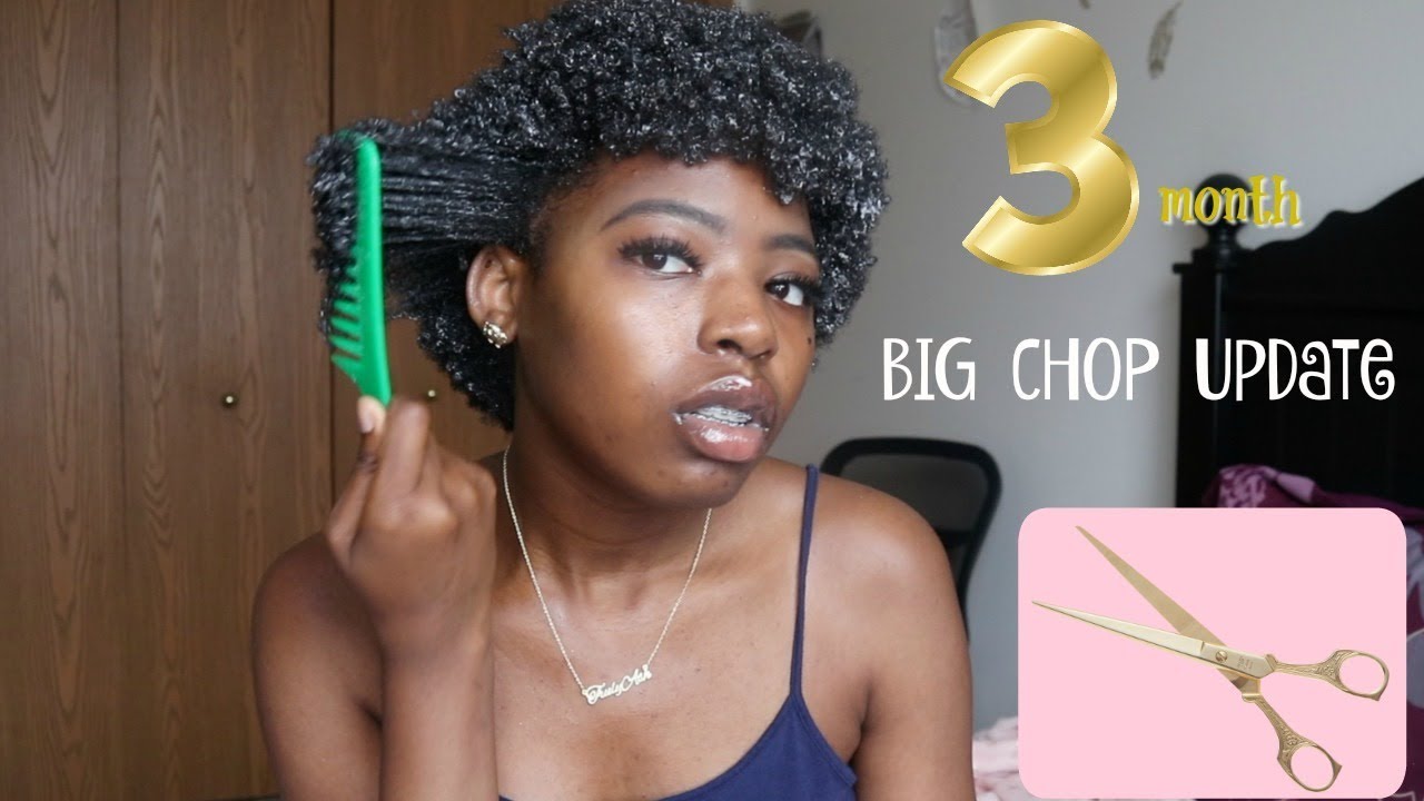 3 MONTH BIG CHOP UPDATE - YouTube