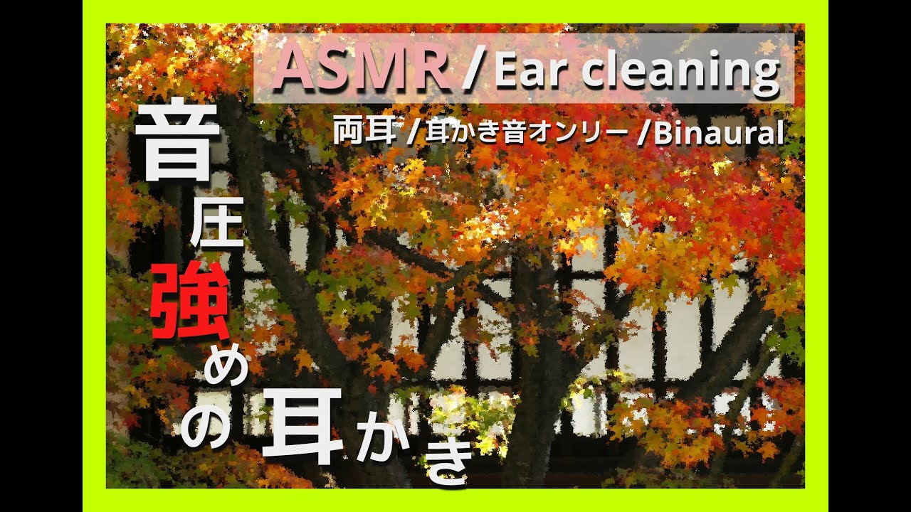 【ASMR/Ear Cleaning/Binaural】涼しくなった夜のおともに…【両耳版/耳かき音/イヤホン必須】