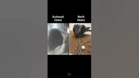 AutoCAD vs Revit: Which One Should You Learn First? 💻🏗️