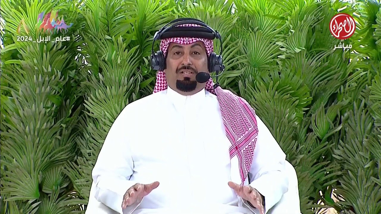 تحدّي الصياهد وعروض فئة شلفا ولي العهد للون (الوضح) #مهرجان_الملك_عبدالعزيز_للإبل8