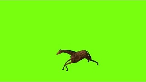Giraffe 🦒 runing green screen animation video l cartoon giraffe running green screen l  no copyright
