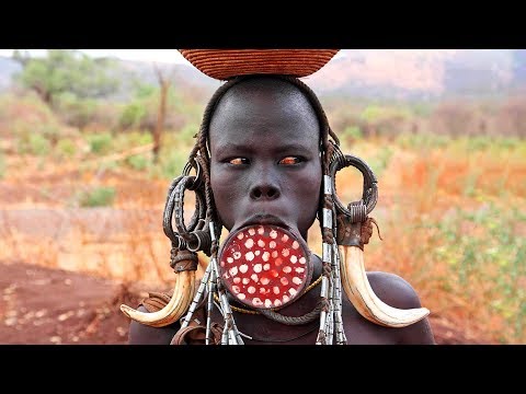 Video: Aké Zvieratá Sa Nachádzajú V Afrike