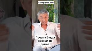 Почему принц Гаутама Будда сбегает из дворца? #дмитрийдомбровский #будда #просветление