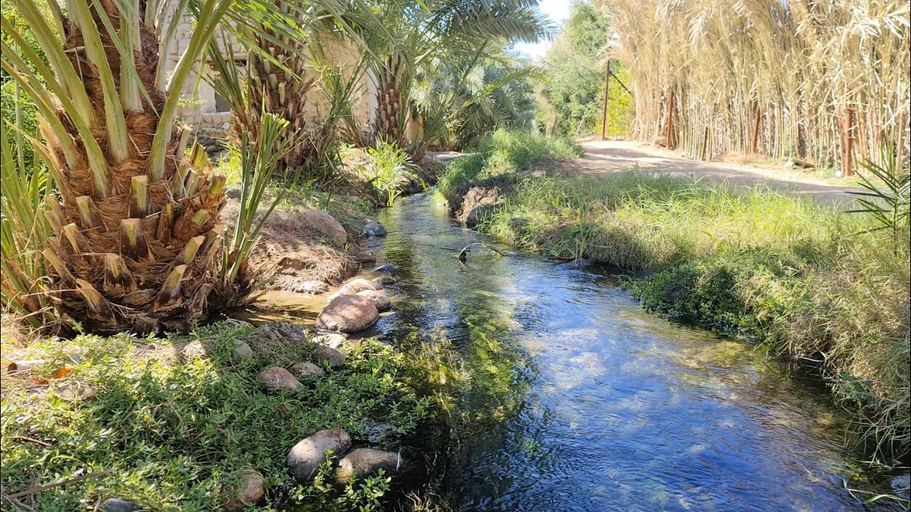 جوله في ينبع النخل (KSA)#020