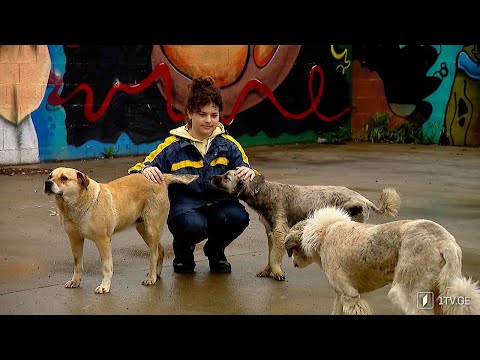 ძაღლებზე მზრუნველი გოგონა