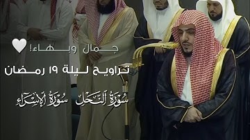 صلاة التراويح ليلة ١٩ رمضان ١٤٤٦هـ من #المسجد_الحرام | تلاوة فضيلة الشيخ د.#الوليد_الشمسان