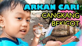 MENCARI CANGKANG KEONG