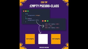 Empty pseudo-class in CSS  🔥| follow for more @WebDevWizard0