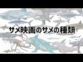 【サメ映画学会的研究動画】サメの種類登場数ランキング【+描いてみた】