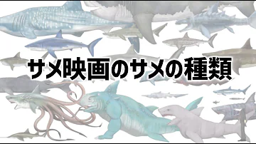 ジョーズサメ Mp3