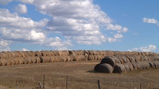 AgweekTV: Nebraska Flood Recovery