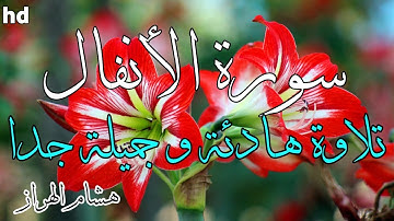 سورة الأنفال 🎧💙تلاوة عطرة وجميلة جدا 💙بصوت القارئ هشام الهراز.