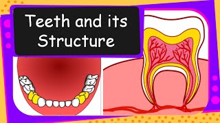 Science  Different teeth, their  functions and structure  English