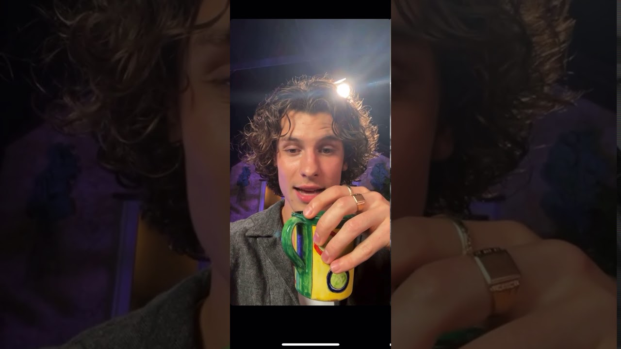 Shawn Mendes Wonder Pre-Release Instagram Live, 04/12/20