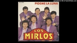 Video thumbnail of "Los Mirlos - Copetinera"