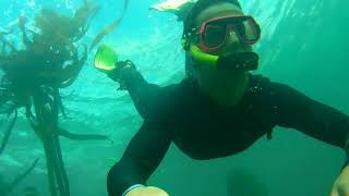 Clear Water Dives At Cape Town