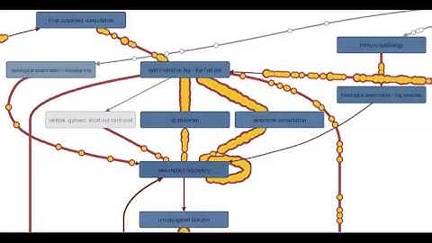 process mining animation overview gif