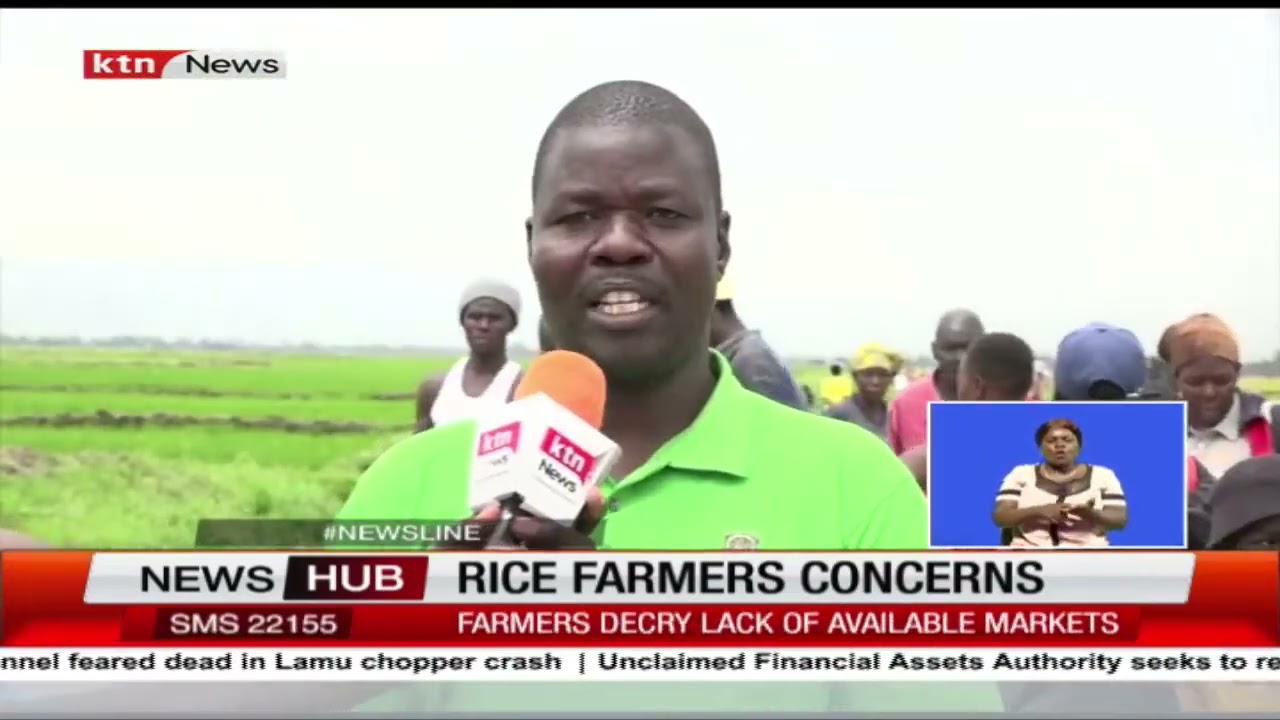 Rice farmers from Ahero decry lack of available markets as they express their losses