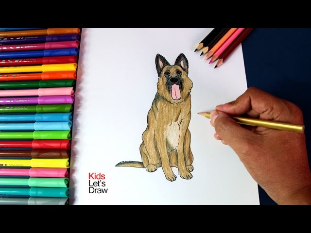 Cómo Dibujar un Perro Pastor Alemán paso a paso | How to draw German  Shepherd Dog Breed - YouTube