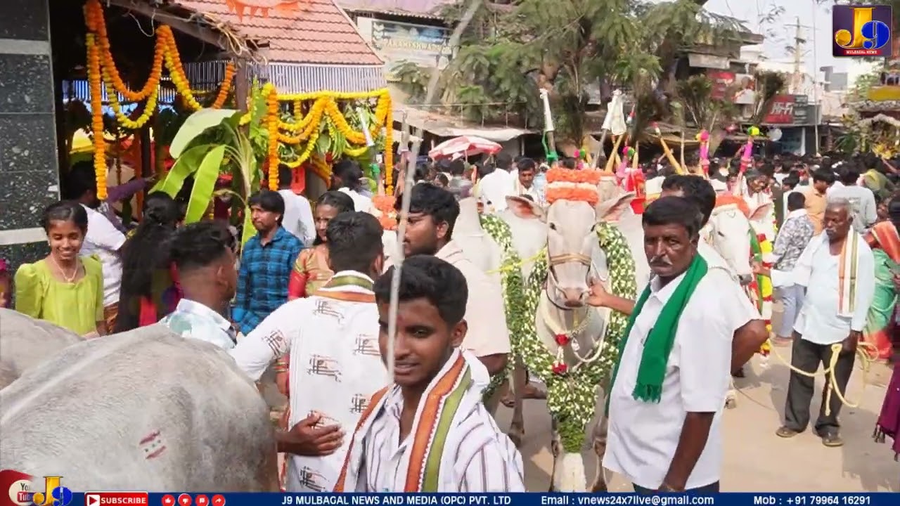 Bangalure Devnahalli Taluk Budigere Sri Desha Narayanswamy Temple Bramha Rathaostava