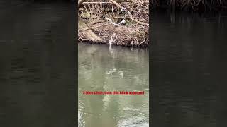 Minky Minky - No Wonder The Fishing Has Gone Quiet