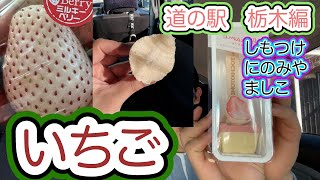 【道の駅】いちごのお土産たくさん買える栃木県の道の駅　3ヶ所！