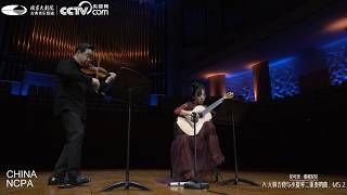 Sonata Concertata In A Major, Ms2 Iii. Allegretto Vivace E Scherzando