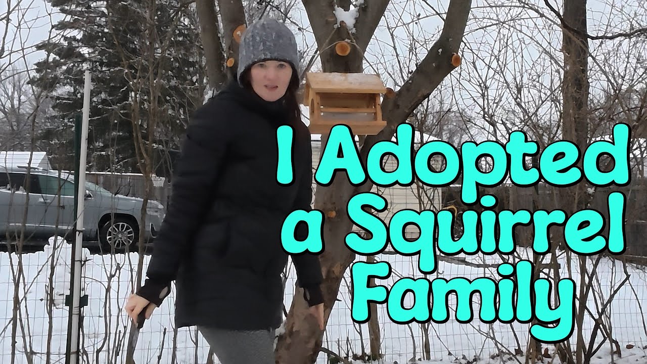 I Can't Believe 7 Squirrels Showed Up! | Feeding Frenzy in the Snow